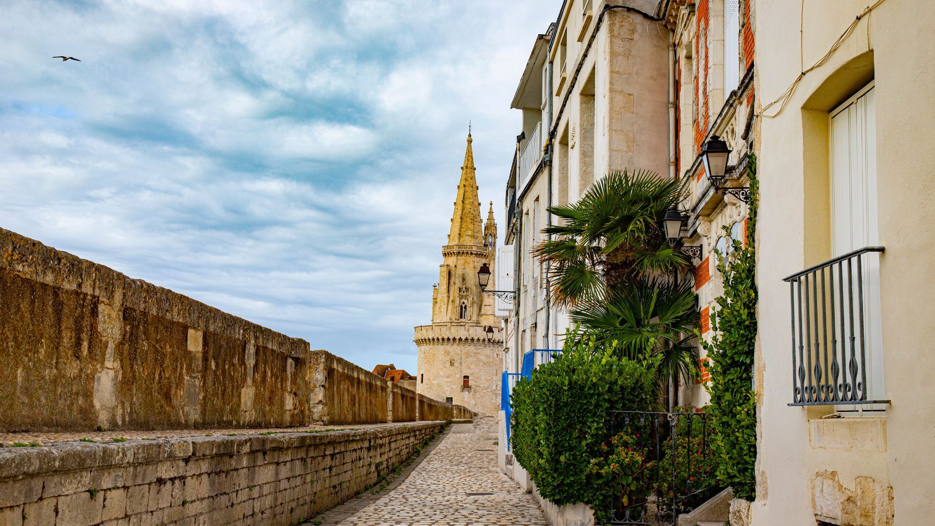 Immobilier à La Rochelle : comprendre un marché résilient 